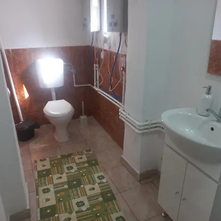Guest house Casa Christian Calimanesti