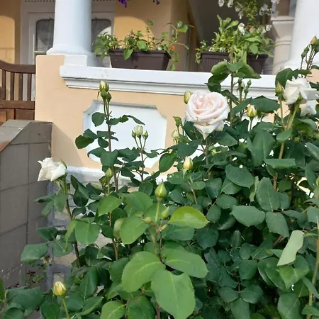 Casa Christian Guest house Calimanesti